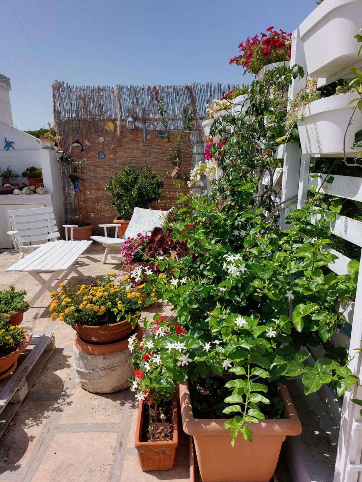 Bed and Breakfast Mandorleolio à Polignano a Mare Extérieur photo