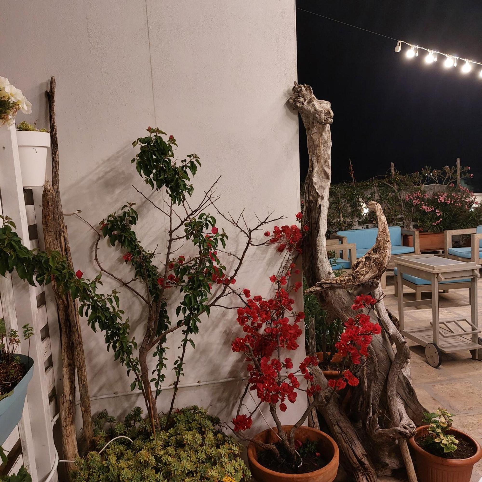 Bed and Breakfast Mandorleolio à Polignano a Mare Extérieur photo
